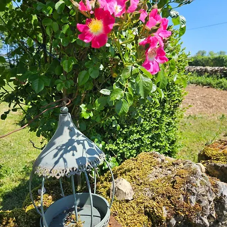 Lou Caussinhol 3 Epis Bed and Breakfast Montbazens